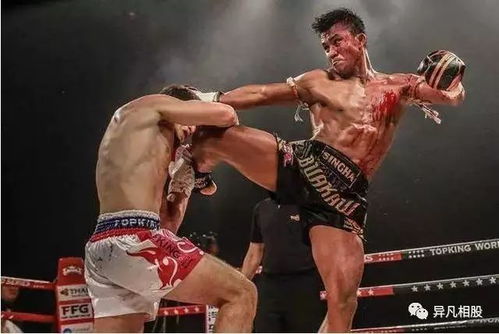 拳击手表情包泰拳