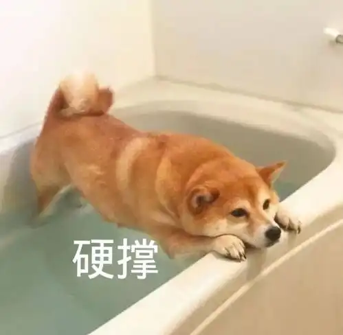  表情包早安打工人