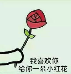 花花送给你表情包我喜欢