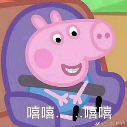  嘻嘻嘻好久没上美拍了这几天忙着考试考完了还不错嘻嘻双芷恃的美拍