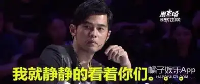  一企业家说周杰伦垃圾夏河给了他重重一击