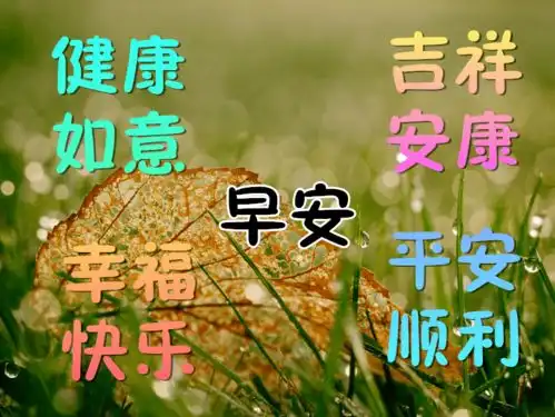  早上好图片表情大全新版朋友圈早上好动态图片