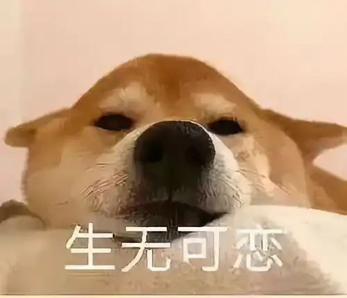 iphone表情包安卓下载金