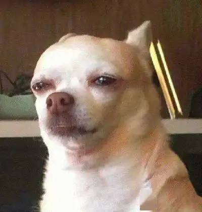 在线表情包沙雕塞特