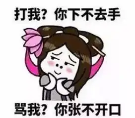  王者荣耀斗图表情包一言不合六鞋子