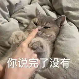  猫咪威胁表情包你说完了没有