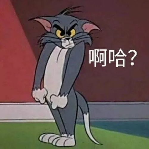  猫和老鼠表情包合集
