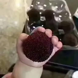 小朋友无水印表情包
