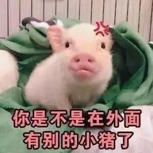  联想z5后天发95屏占比屏下摄像对标小米mix2s