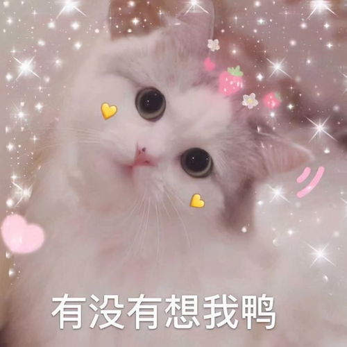  发给对象的可爱撒娇句子,甜到心坎里