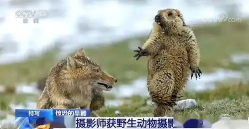  鼠疫离我们如此近