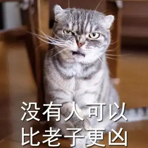  我哭的稀里哗啦,警察笑的写不了报告咋了他问我为啥被骗,我说因为我是憨憨