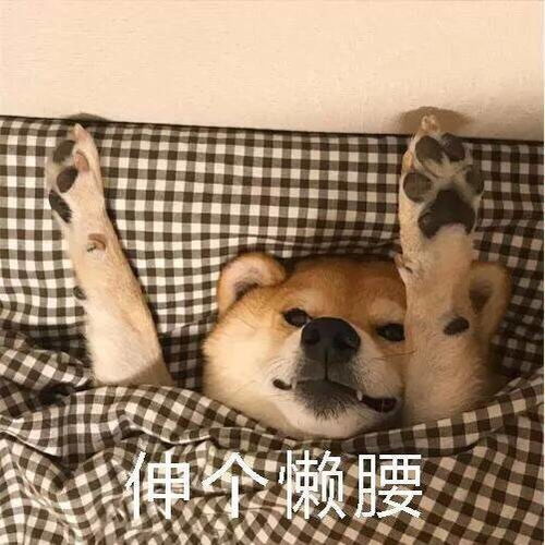  大家可能会因为什么原因脱粉回踩投票贴