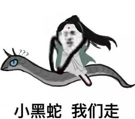  福利送票票,赏花划船骑马烧烤晒太阳,这个地方耍到你根本停不下来