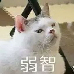  再冷血无情的年轻人,看到这两张表情包都得跪舔