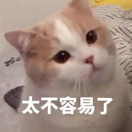  表情包请问我的小可爱在吗