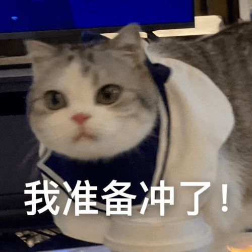  假期宅家运动指南动起来,燃烧卡路里