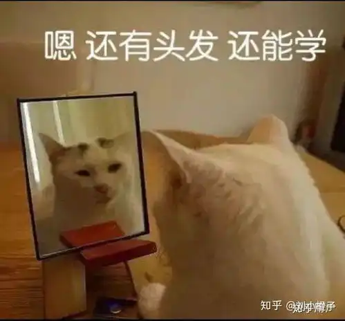  专科是学临床医学还是教师