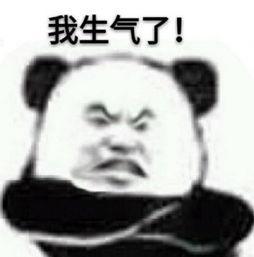  生气表情包,我生气了