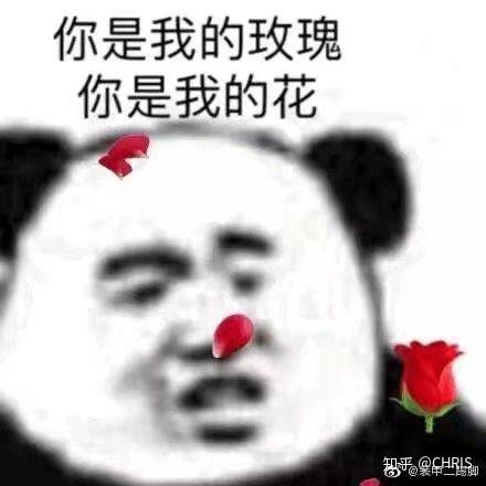 我的图我的图表情包沙雕
