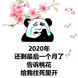  可爱沙雕表情包你的绿帽子掉了