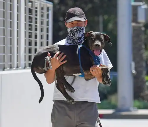  34岁希亚拉博夫近照昔日变形金刚男主,如今沦为三线演员
