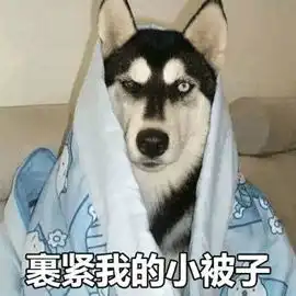  春来了,奉上一套换被攻略