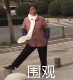  杨幂最爱找她配音晴川风晴雪都是她霍建华陈伟霆林更新赵又廷都不如他苏