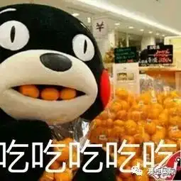  悉尼同时有1000人一起吃饺子打破吉尼斯世界记录