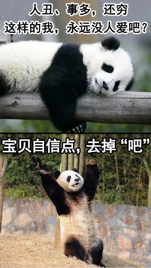  宝贝自信点表情包接受完姐妹的安慰之后,我再也爬不起来了