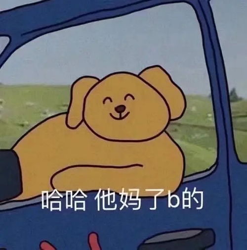 新入职3个月的同事把我拉黑了我想骂她,可不可以直接撕破脸啊哈哈