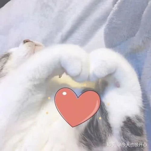  如何悄咪咪暗示自己的喜欢