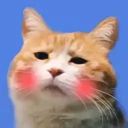  有生之年都想用的表情包情侣头像