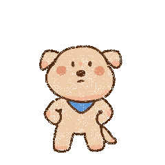 生气小金毛拿铁表情包  生气小金毛拿铁表情包