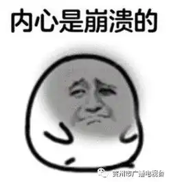 贺州一游客上山游玩,不慎坠落约9米的废弃矿井,幸好