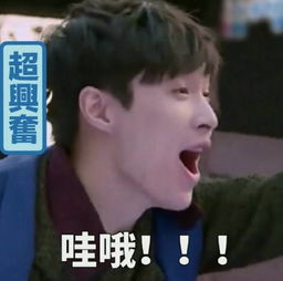 对不起鸭的表情包张艺兴