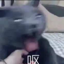  ido私人定制美发工作室地址,电话,价格,营业时间郑州美发