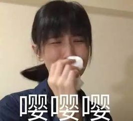  还等什么双11,下关皮草特惠季看得见摸得着工厂价