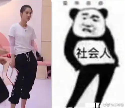 表情包素材库站姿