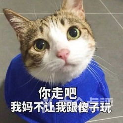 各种网站的表情包不给
