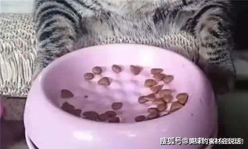 猫咪过于肥胖,主人为帮它减肥扣减猫粮,猫咪发现后表情笑喷了  猫咪过于肥胖,主人为帮它减肥扣减猫粮,猫咪发现后表情笑喷了
