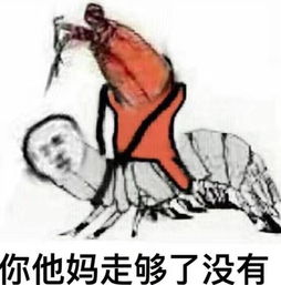 来一波我们走表情包,不止皮皮虾可以哦