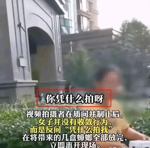  故意在小区投放蟑螂,女子在小区内放生众多蟑螂,知情人爆内幕