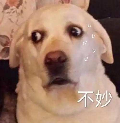  沙雕表情包l放下所有不开心
