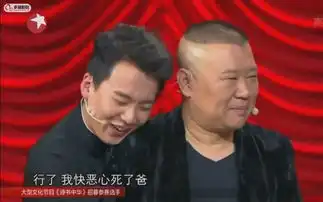  欢乐喜剧人的全部相关视频bilibili哔哩哔哩弹幕视频网