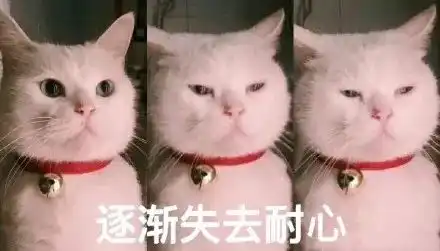  老板邮寄20万元硬币还债重达1.2吨20名银行员工要数一周...