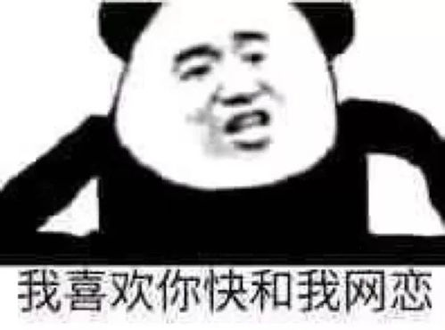  每日表情微信聊天斗图