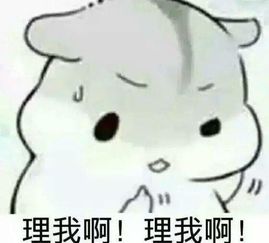  十条段子单身久了,看到别人两口子吵架都是秀恩爱
