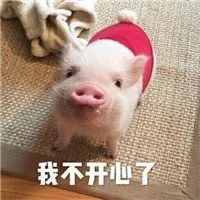  胯宽腿粗屁股大照着穿让你美到爆炸