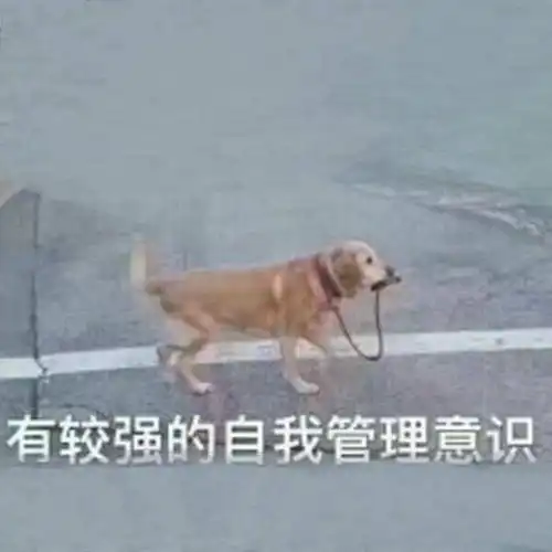  这届90后中年人,突然就浪不动了